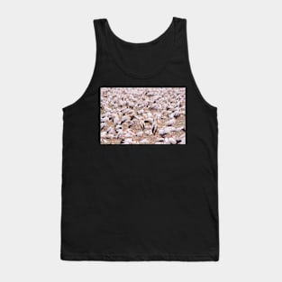 Yellow Billed Storks - Lake Manyara Tank Top